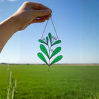 Artistic close-up of green stained glass mistletoe reflecting sunlight.