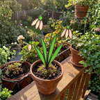 Snowdrop Stained Glass Flower, January Birth Flower Gift for Mom, 3D Floral Table Decor, Grandma Birthday Present, Wood Stand Art