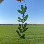 Handmade glass holly leaf ornament shining on a sunny afternoon.