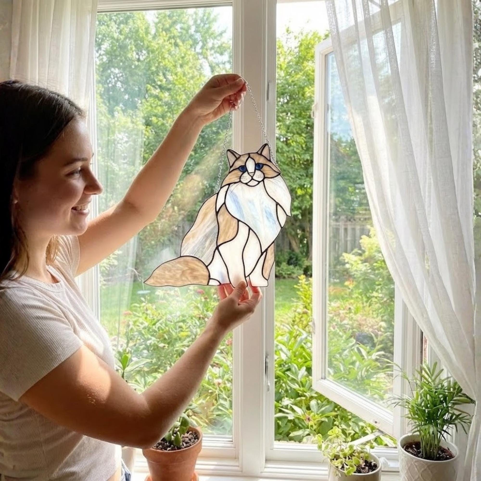 Woman hanging a fluffy Ragdoll cat suncatcher on bright window, home decor idea.