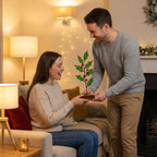 Couple exchanging Christmas gift in warm lighting, stained glass holly ornament gift idea