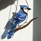 Stained glass Blue Jay bird suncatcher on branch hanging on window casting blue shadows, handmade realistic nature decor for birdwatchers by LuzyGlassArt.
