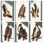 Handmade stained glass red tailed hawk suncatcher, realistic raptor bird window hanging, brown and rust wildlife decor, memorial gift for dad.