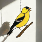 Stained glass American Goldfinch suncatcher hanging on window casting yellow shadows, vibrant yellow bird ornament for birdwatchers, handmade state bird gift for New Jersey Iowa Washington by LuzyGlassArt.