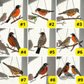 Stained glass American Robin bird suncatcher with orange breast hanging on window, handmade state bird gift for Michigan Wisconsin Connecticut, spring garden decor by LuzyGlassArt.