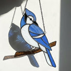 Stained glass Blue Jay bird suncatcher on branch hanging on window casting blue shadows, handmade realistic nature decor for birdwatchers by LuzyGlassArt.