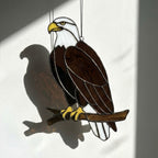 Handmade stained glass bald eagle suncatcher, realistic bird window hanging with brown and white glass, patriotic gift for dad or veteran, creating colored shadows.