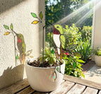 Hummingbird Stained Glass Plant Stake | Cardinal Memorial Gift | Butterfly Suncatcher | Indoor Garden Pot Decor | Mother's Day Gift for Mom