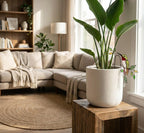 Hummingbird Stained Glass Plant Stake | Cardinal Memorial Gift | Butterfly Suncatcher | Indoor Garden Pot Decor | Mother's Day Gift for Mom