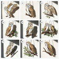 Barn Owl Stained Glass Suncatcher | Woodland Nursery Decor | Bird Lover Gift for Mom | Cottagecore Window Hanging | White Nature Art