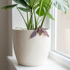 Stained Glass Moth Plant Stake | Luna Moth Pot Sitter | Butterfly Indoor Garden Decor | Plant Lover Gift | Flower Pot Accessories | 1 Pc