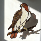 Handmade stained glass red tailed hawk suncatcher, realistic raptor bird window hanging, brown and rust wildlife decor, memorial gift for dad.
