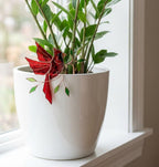 Hummingbird Stained Glass Plant Stake | Cardinal Memorial Gift | Butterfly Suncatcher | Indoor Garden Pot Decor | Mother's Day Gift for Mom