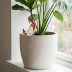 Handmade Stained Glass Butterfly Stake | Flower Pot Suncatcher | Fairy Garden Accessories | Plant Mom Housewarming Gift, Valentine's Day