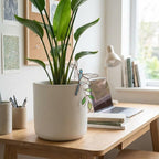 Handmade stained glass dragonfly plant stake with iridescent wings and metal rod, suncatcher pot sitter for indoor plants, gardening gift for mom.